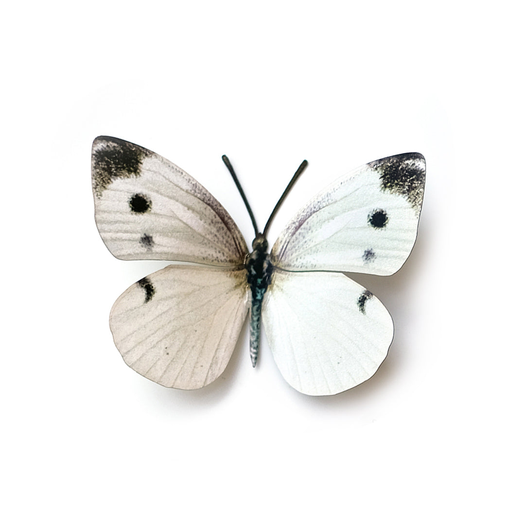 💫New💫 'Cabbage White' Butterfly