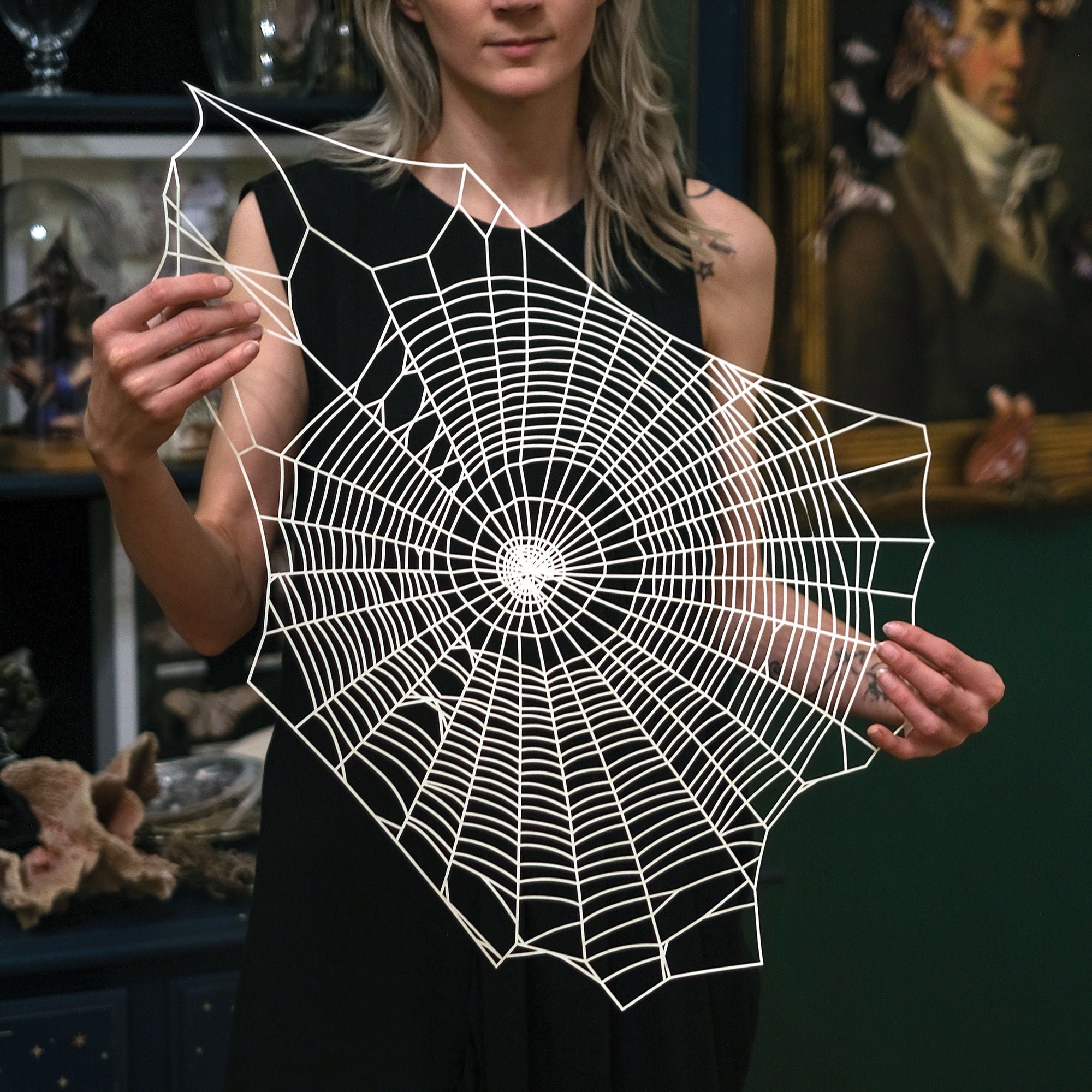'Giant Paper Spiderweb'