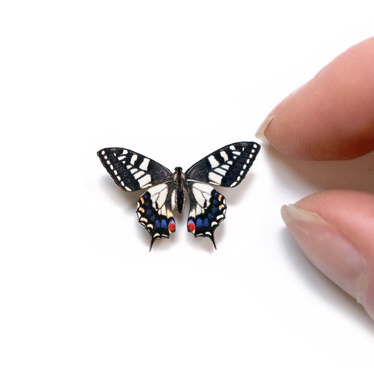 💫New💫 'Micro Old World Swallowtail' Butterfly