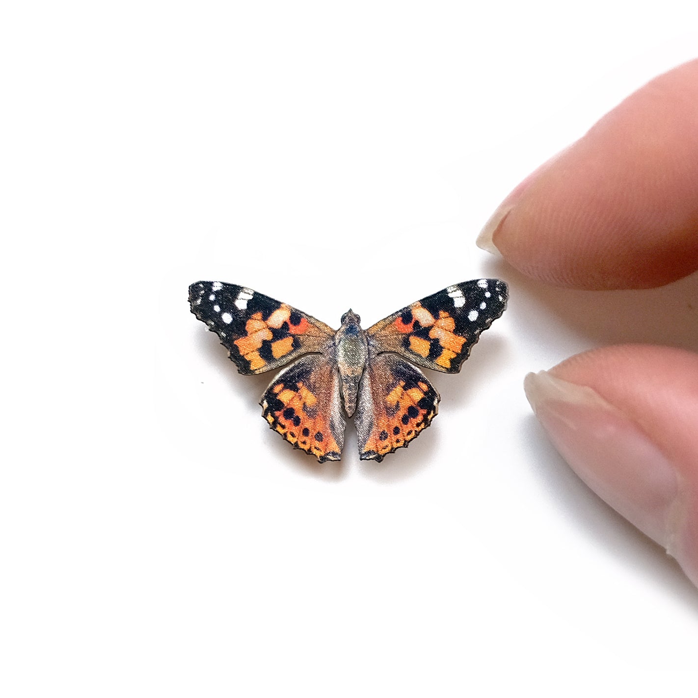 💫New💫 'Micro Painted Lady' Butterfly