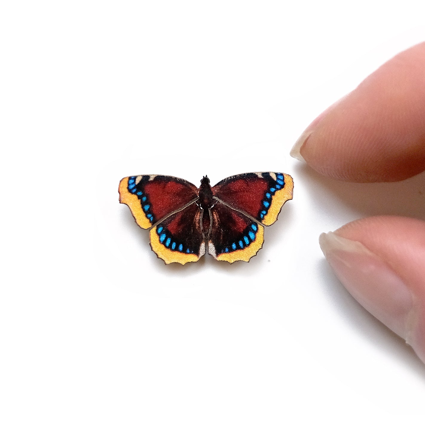 💫New💫 'Micro Scarlet Mourning Cloak' Butterfly