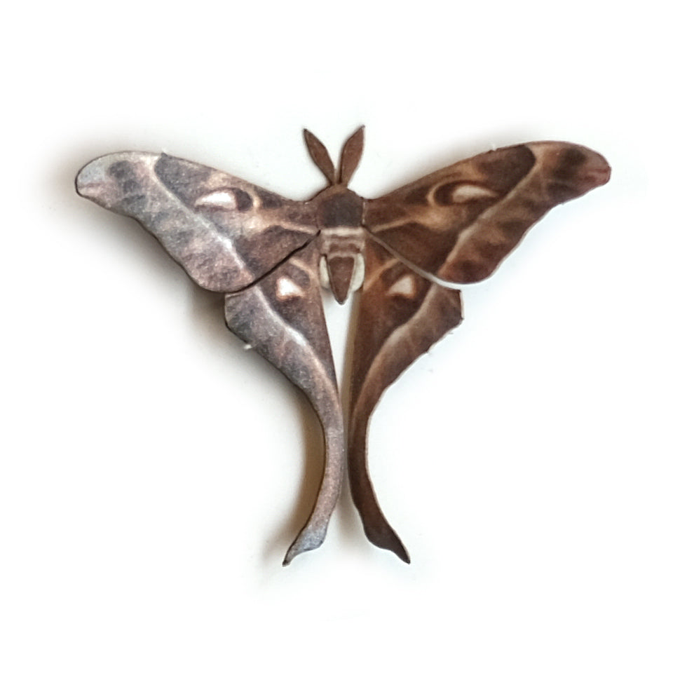 💫Halloween💫 'Mini Brown Silk' Moth