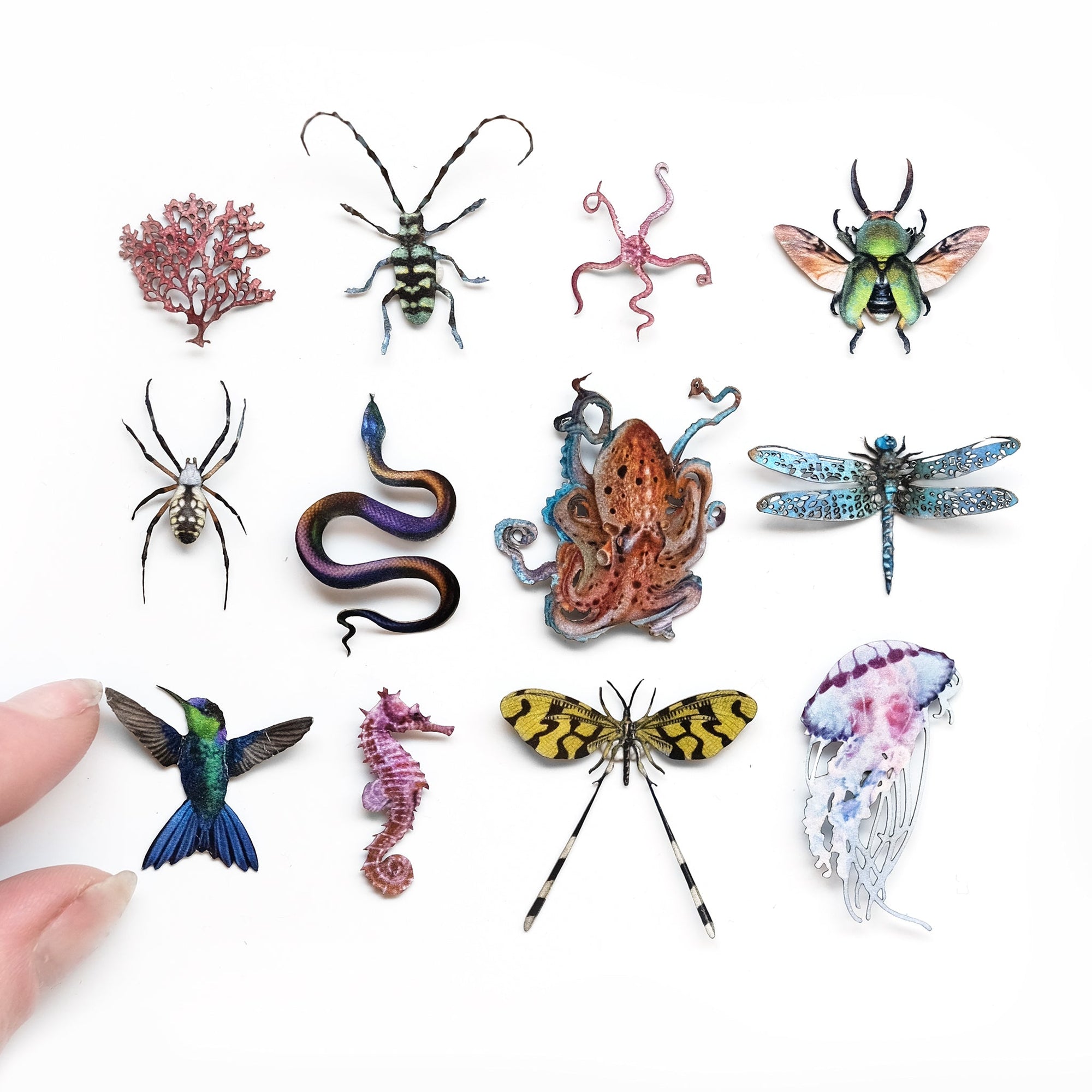💫New💫 'Biophilia' Micro Specimen Collection Reseller Wholesale