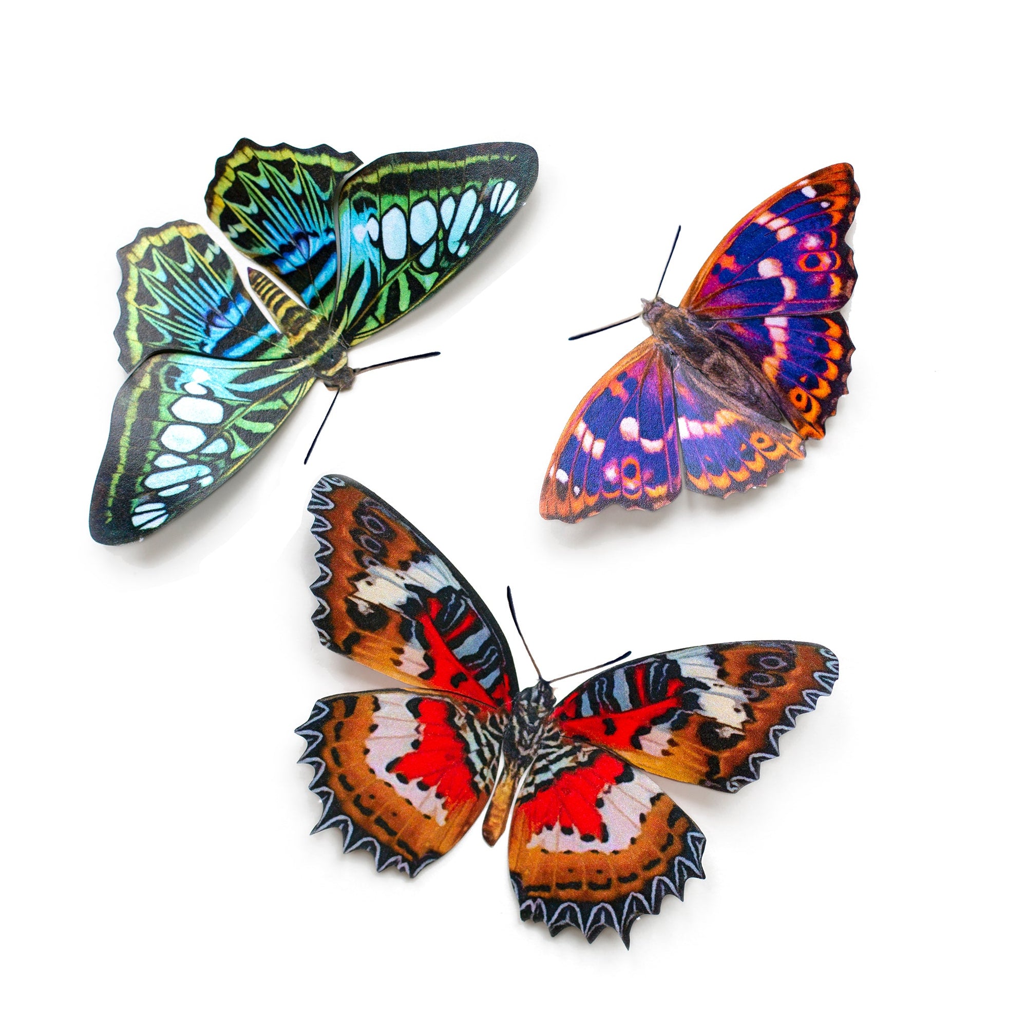 'Quartz' Butterfly Set - Reseller Wholesale