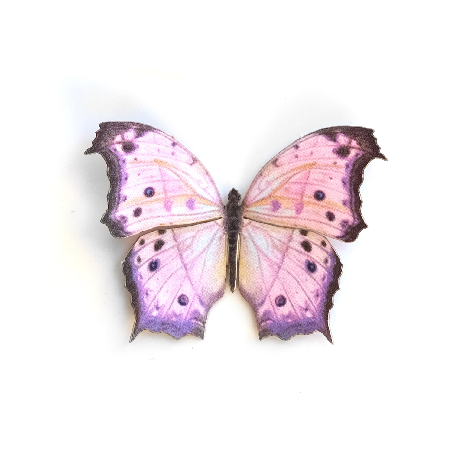 'Mini Mother of Pearl' Butterfly
