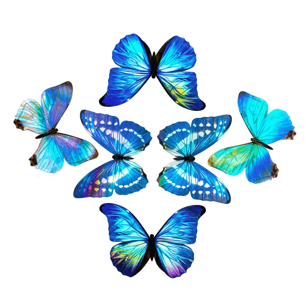 Holographic Morpho Butterfly Sticker Pack