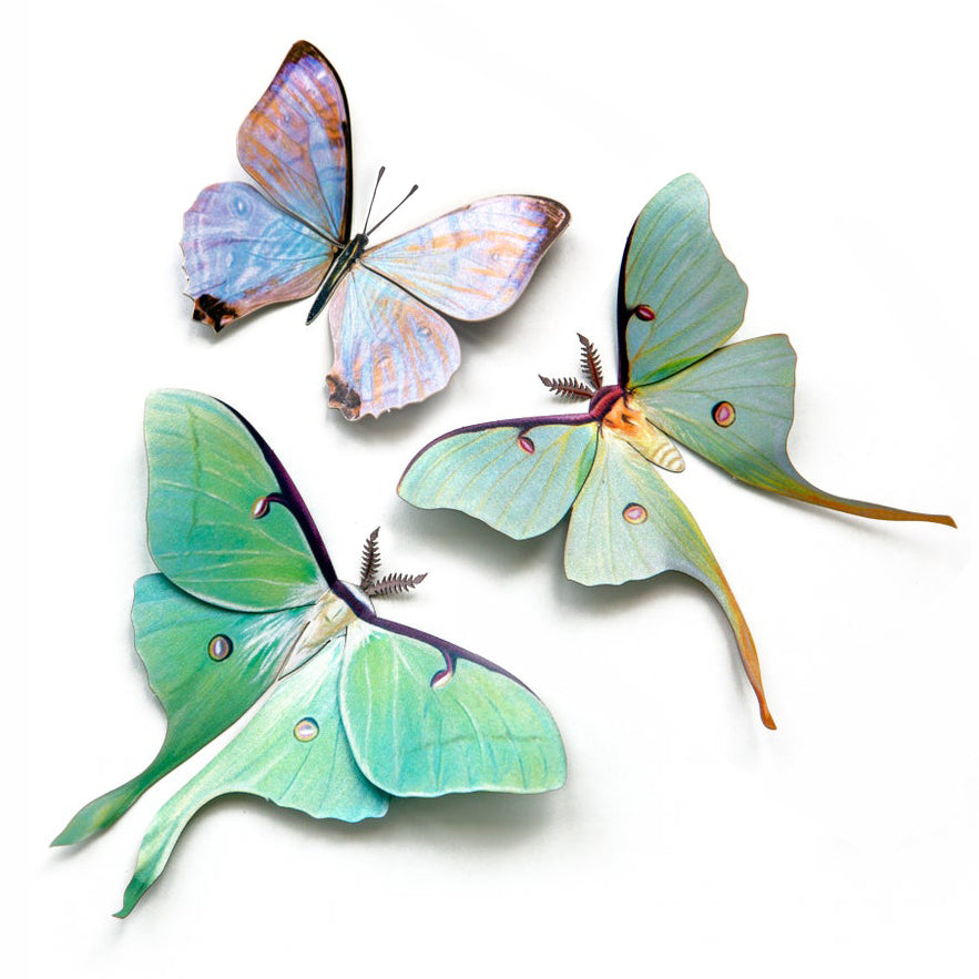 ‘Spring’ Paper Luna Moth Set