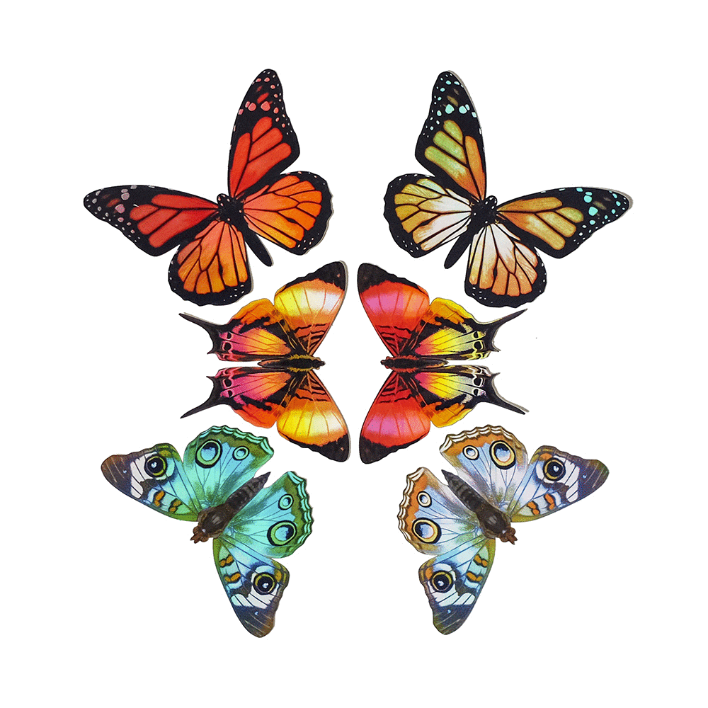 Daggerwing & Blue Buckeye Butterfly Holographic Sticker Set