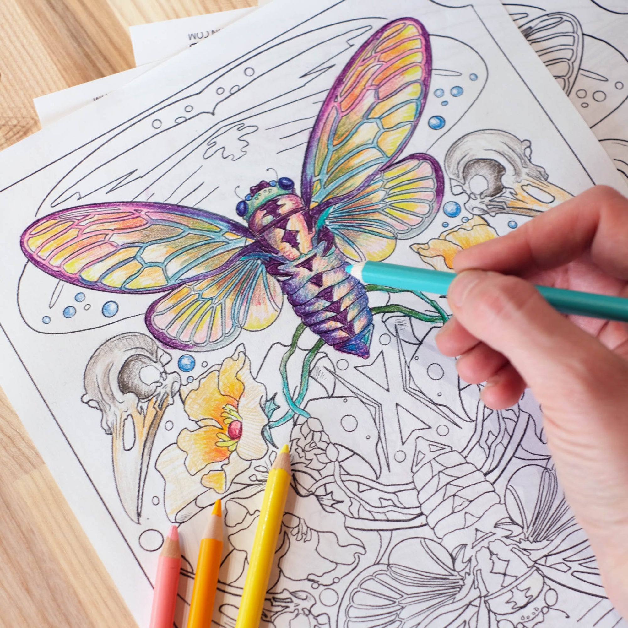 Free Coloring Book Page!