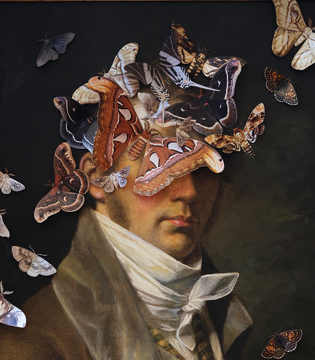 What The Entomologist Saw