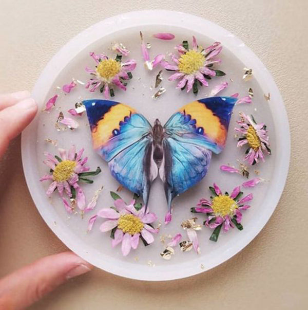 Featured Artist: The Moon Indigo