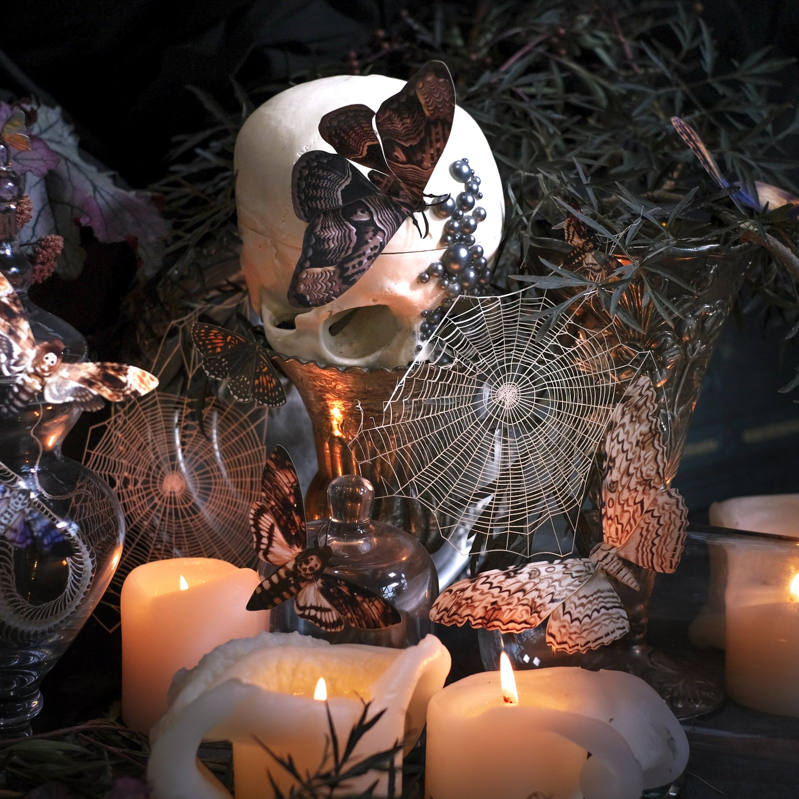 Spooky Specimens