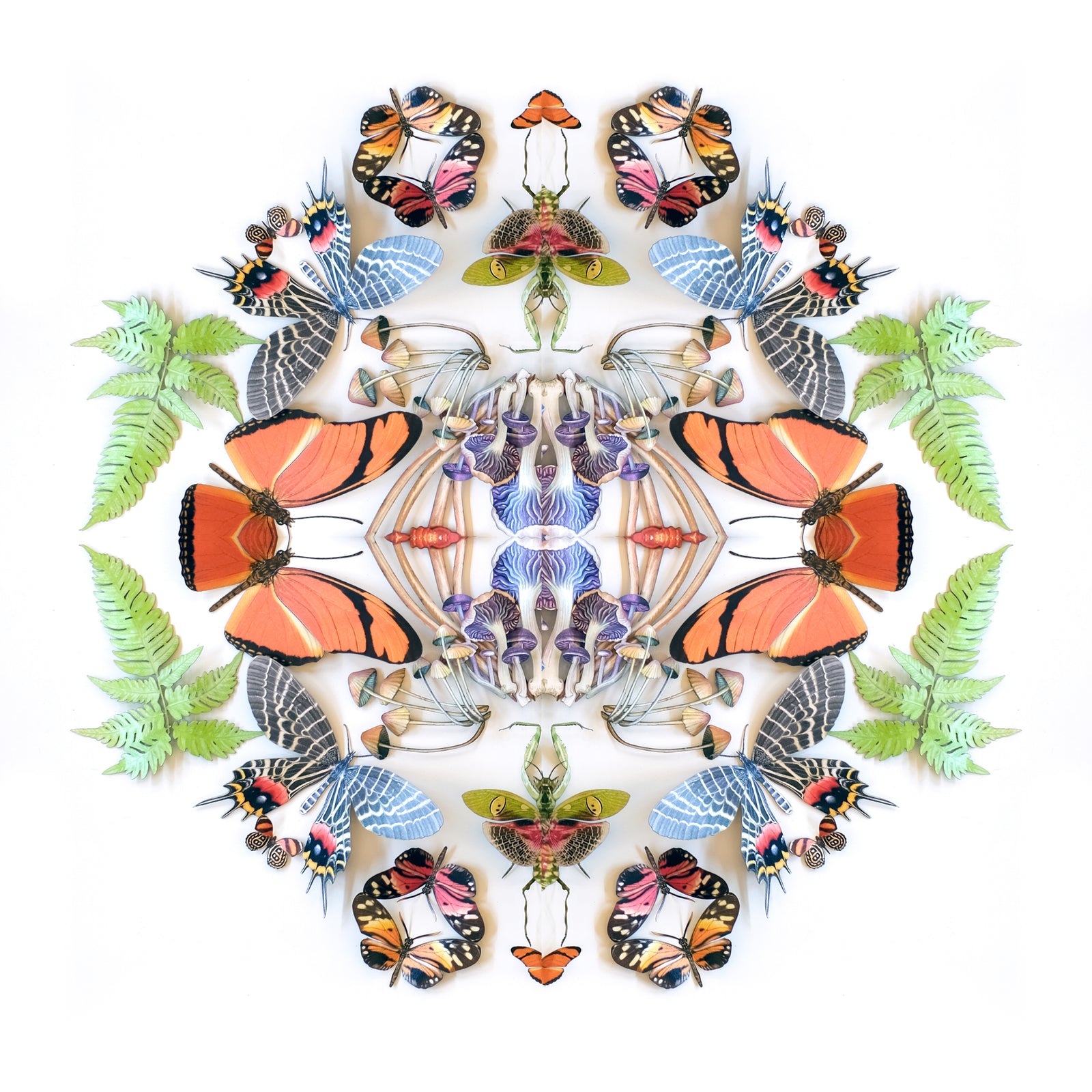 Psychedelic Collection