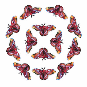 'Alt-Color Atlas' Moth Multi-Pack