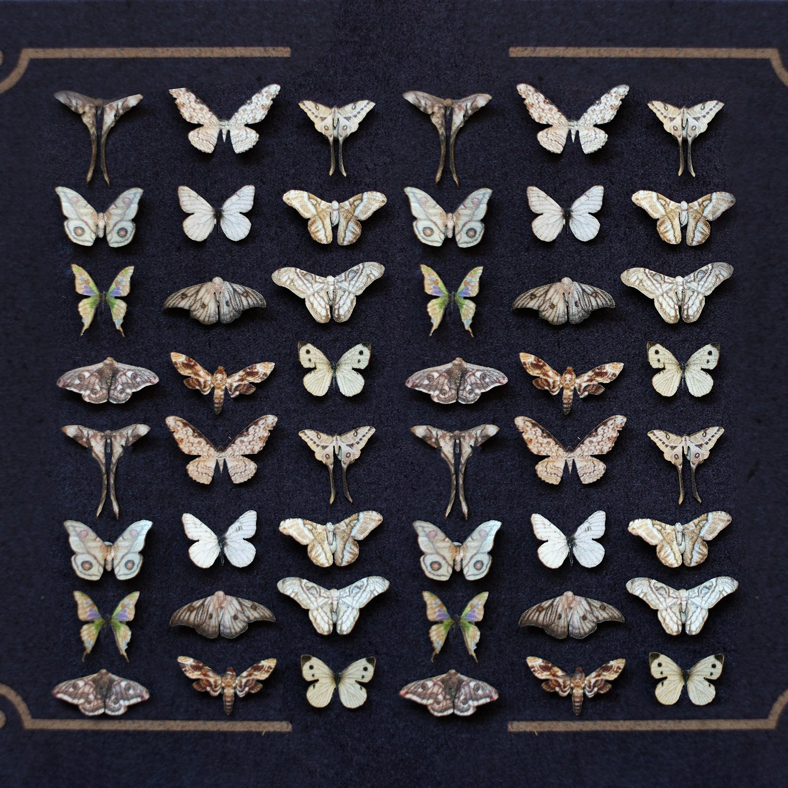 'Phantom' Teeny Tinies