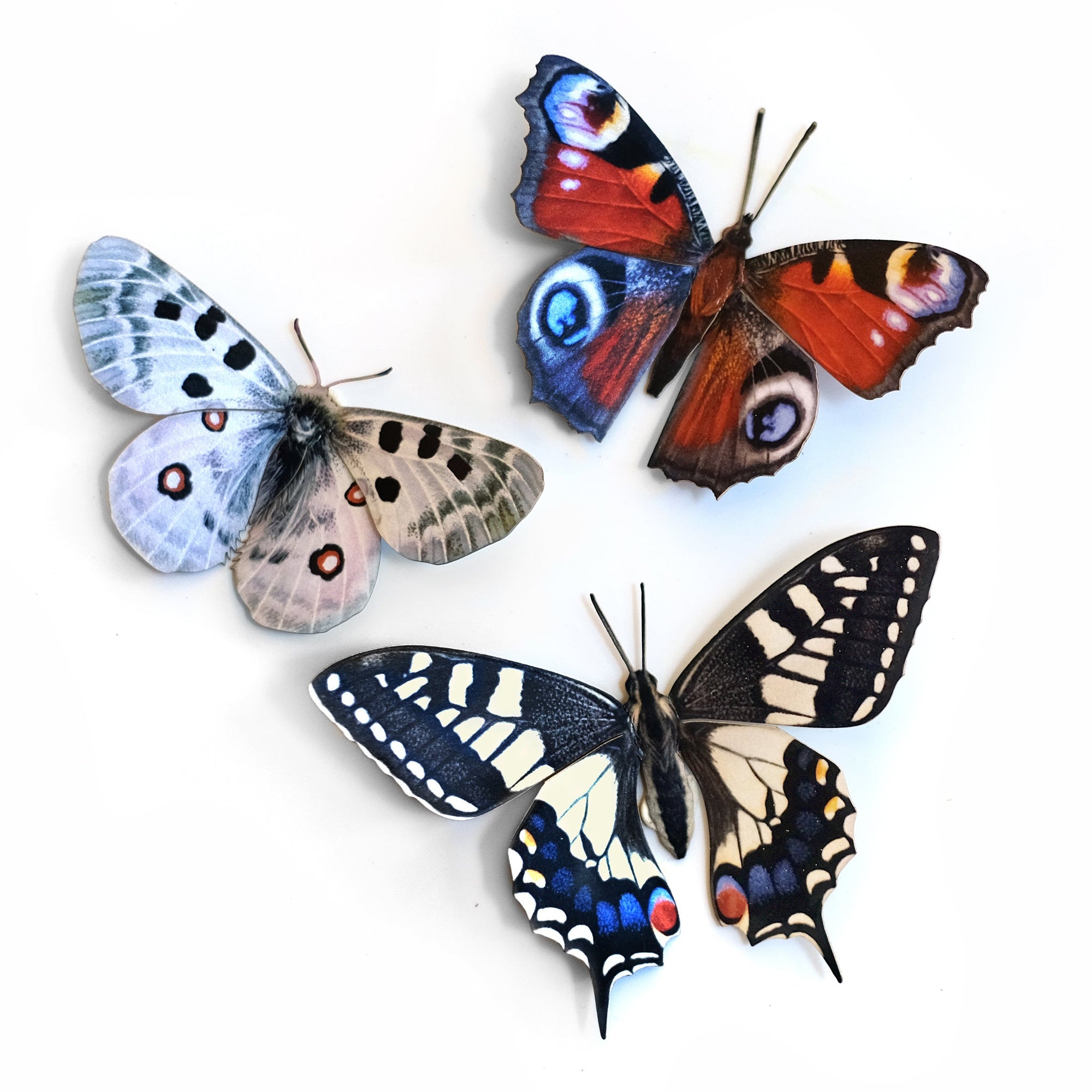 'Apollo' Butterfly Set Artist Wholesale
