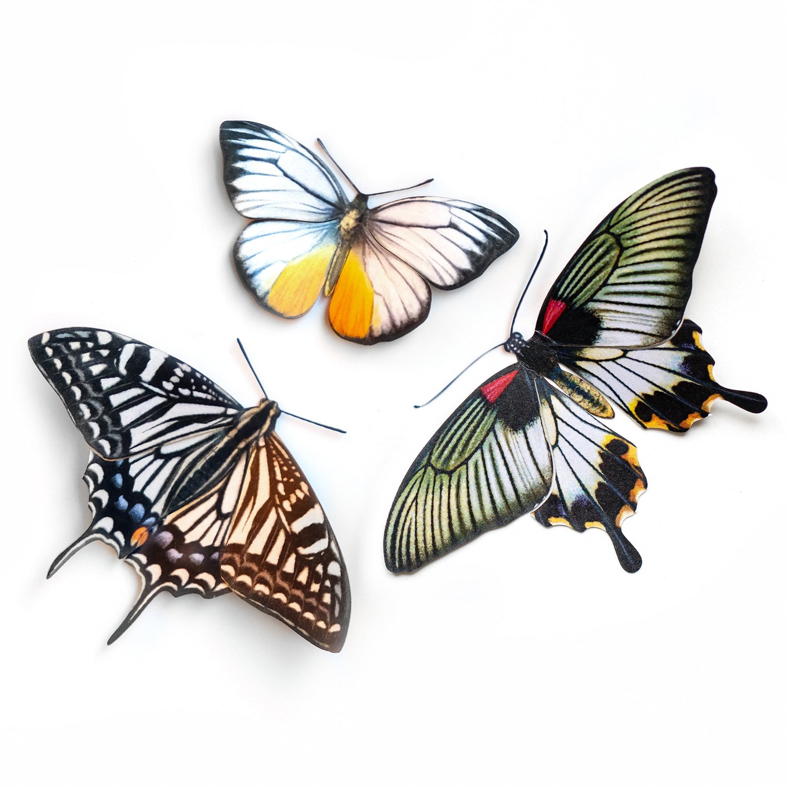 'Basra' Butterfly Set