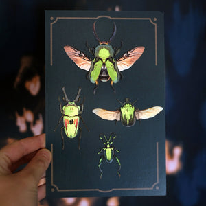 'Undergrowth' Beetle Set - Artist Discount