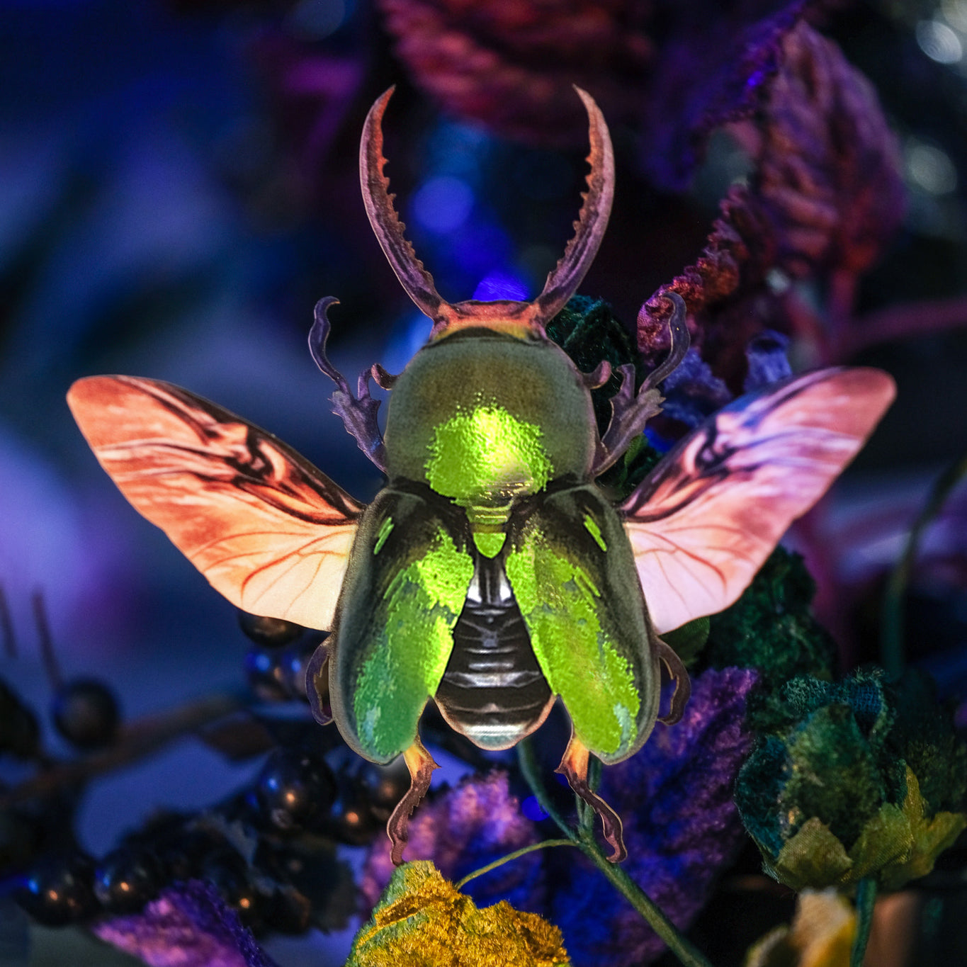 💫New💫 'Undergrowth' Beetle Set - Artist Wholesale