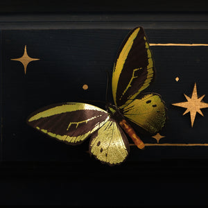 'Flourish' Birdwing Butterfly Set - Artist Discount