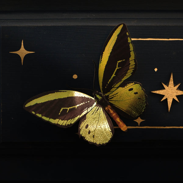 'Flourish' Birdwing Butterfly Set Artist Discount Moth & Myth