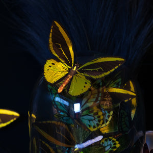 💫New💫 'Flourish' Birdwing Butterfly Set - Artist Wholesale