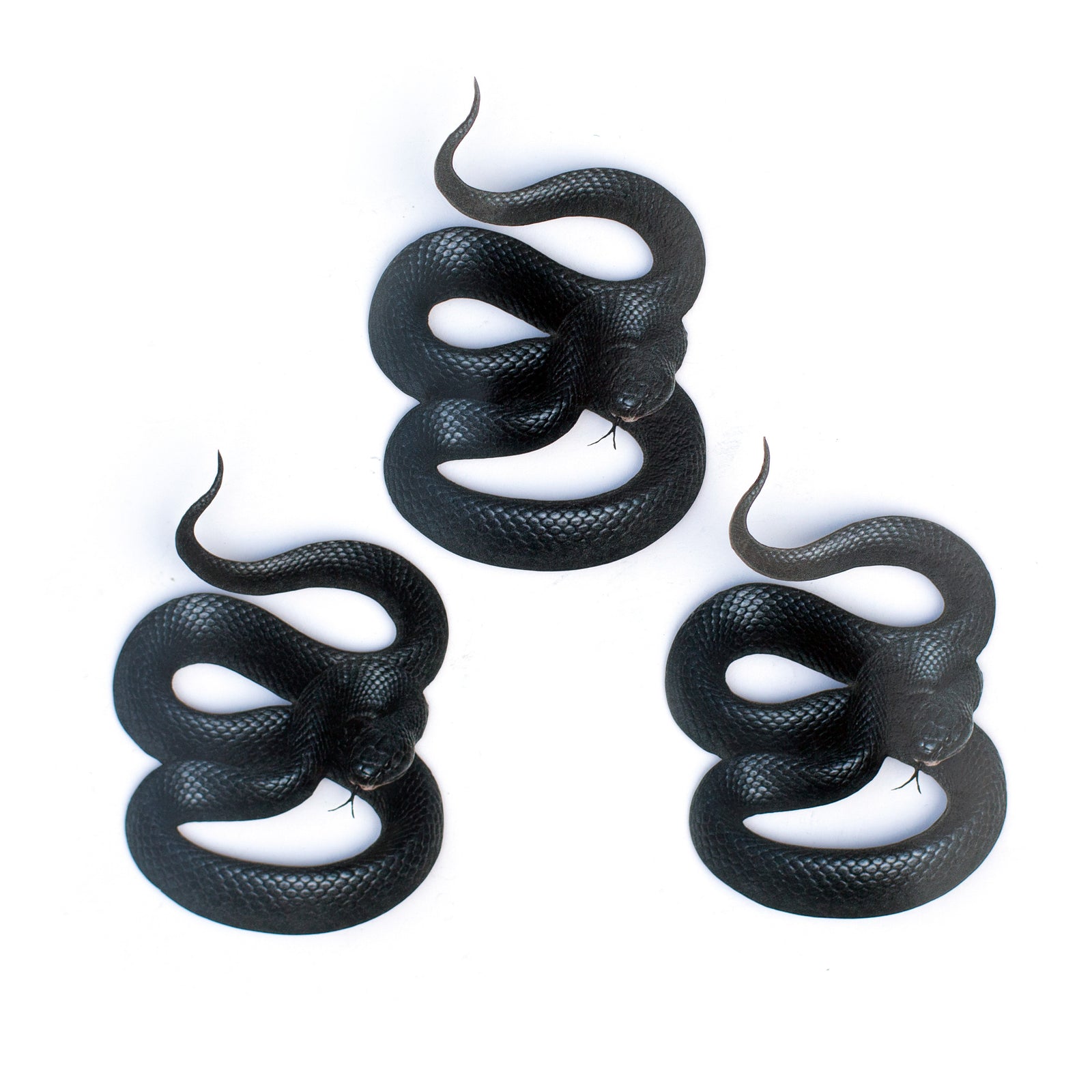 💫New💫 Black Indigo Snakes - The Nocturne Collection