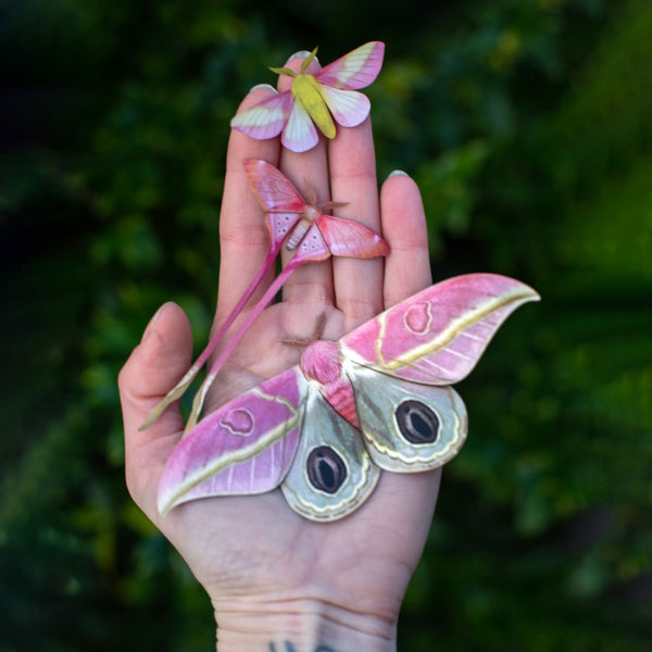 Paper Luna Moth 3-Piece Set 'Moonwake' - Moth & Myth