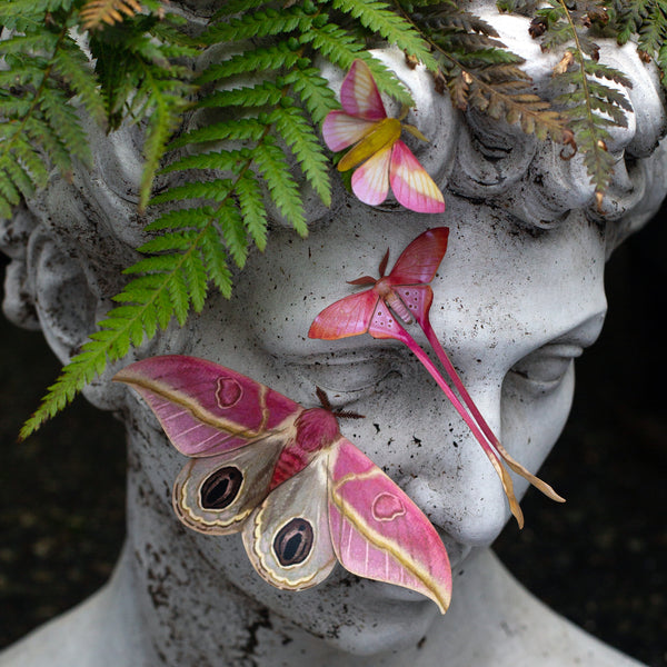 Paper Luna Moth 3-Piece Set 'Moonwake' - Moth & Myth