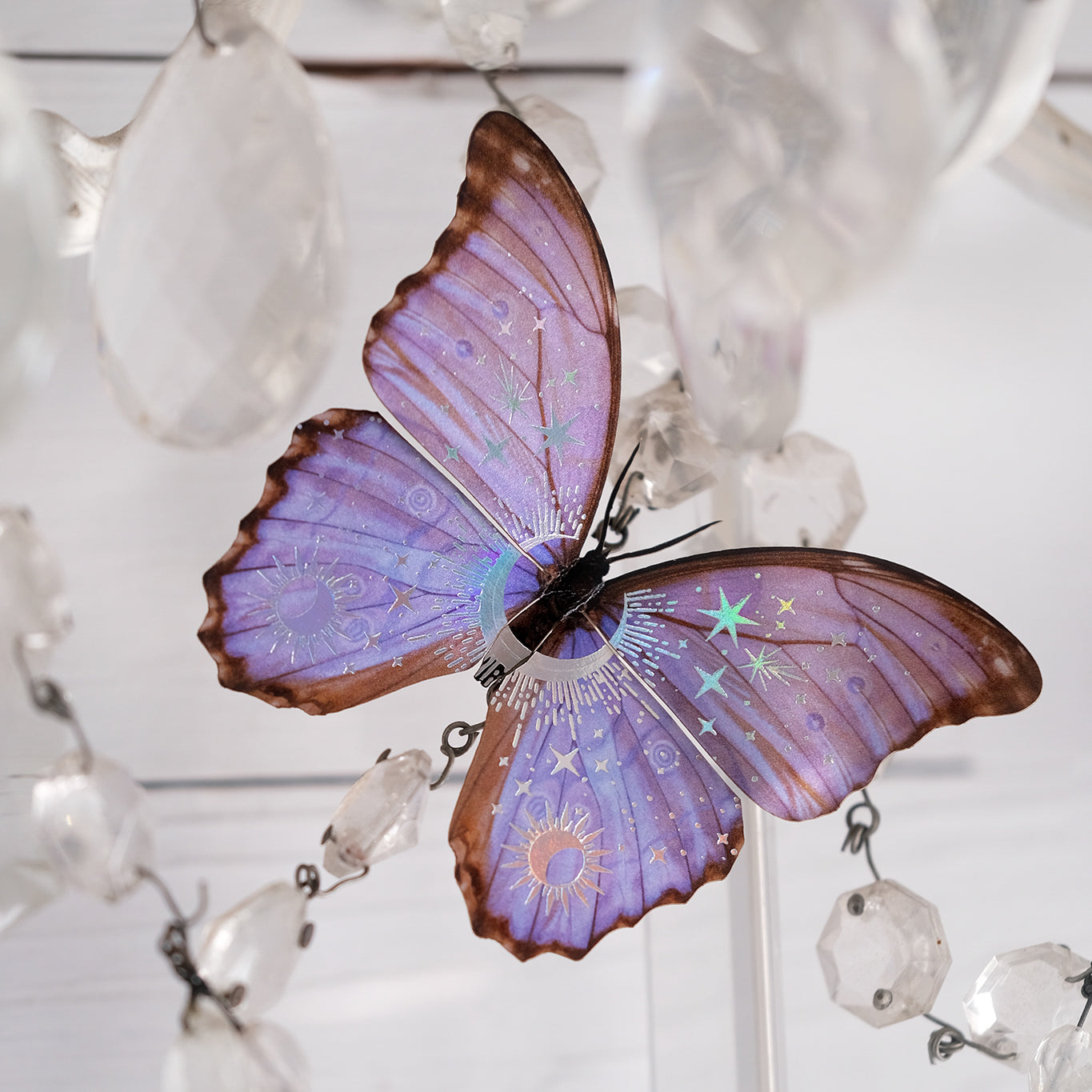 💫Celestial Beings💫 Morpho Butterfly Set