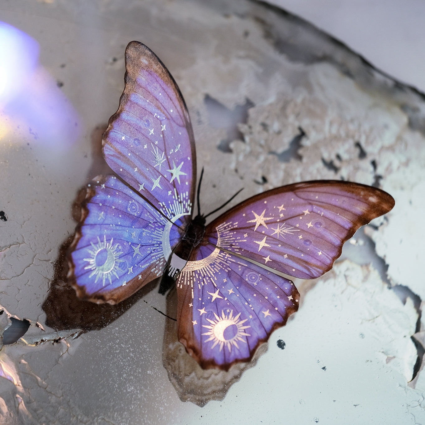 💫New💫 Celestial Beings Morpho Butterfly Set - Artist Discount