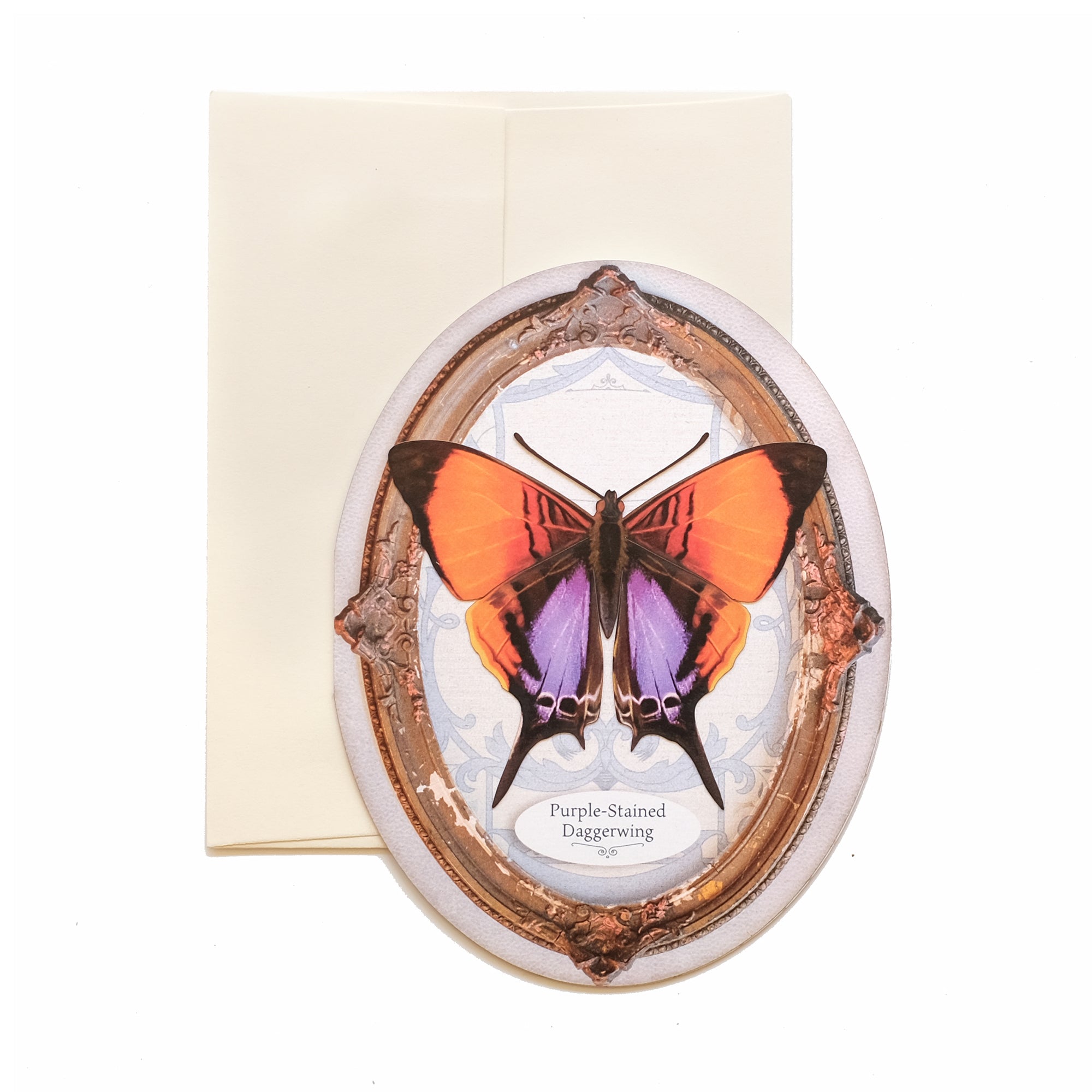 Purple-Stained Daggerwing Oval Greeting Card - Set of 4 - Reseller Wholesale