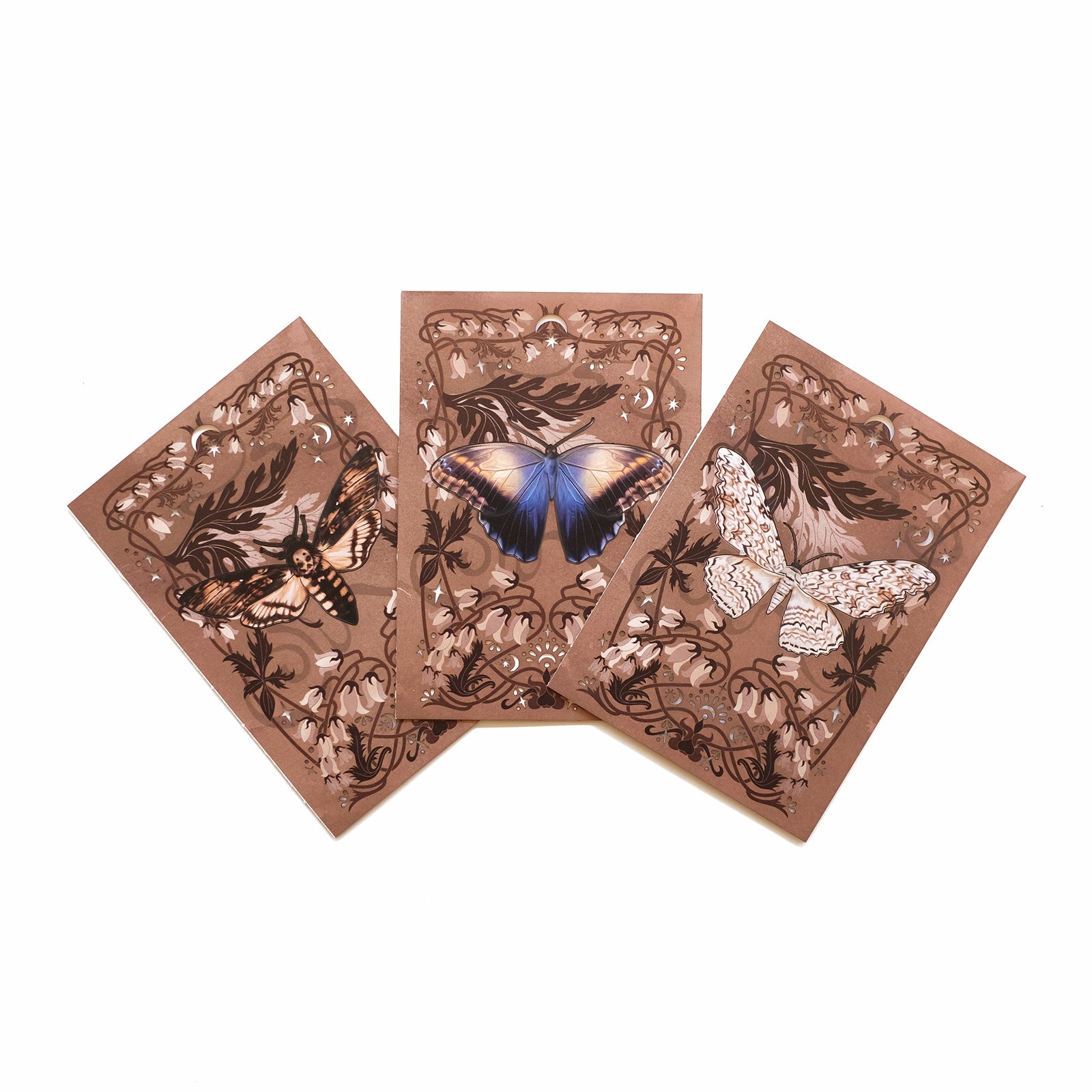 'Spooky' Moth Greeting Cards with Removable Butterflies - Set of 3