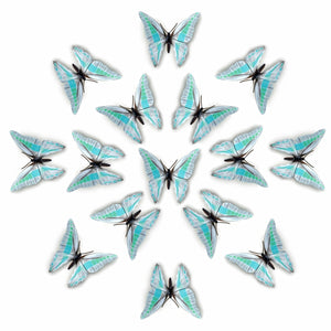 'De-Scaled Common Bluebottle' Butterfly Multi-Pack