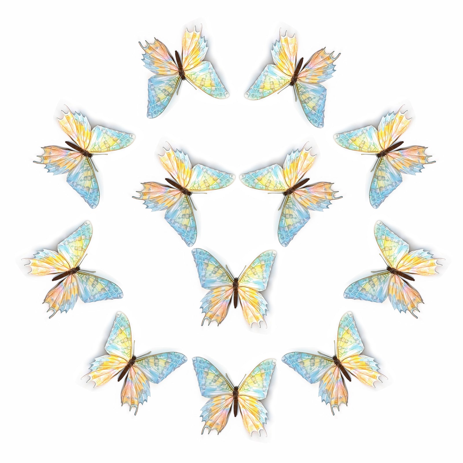 💫New!💫 'De-Scaled Sunset' Moth Multi-Pack