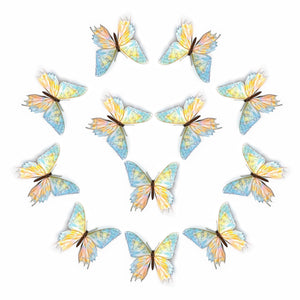 'De-Scaled Sunset' Moth Multi-Pack