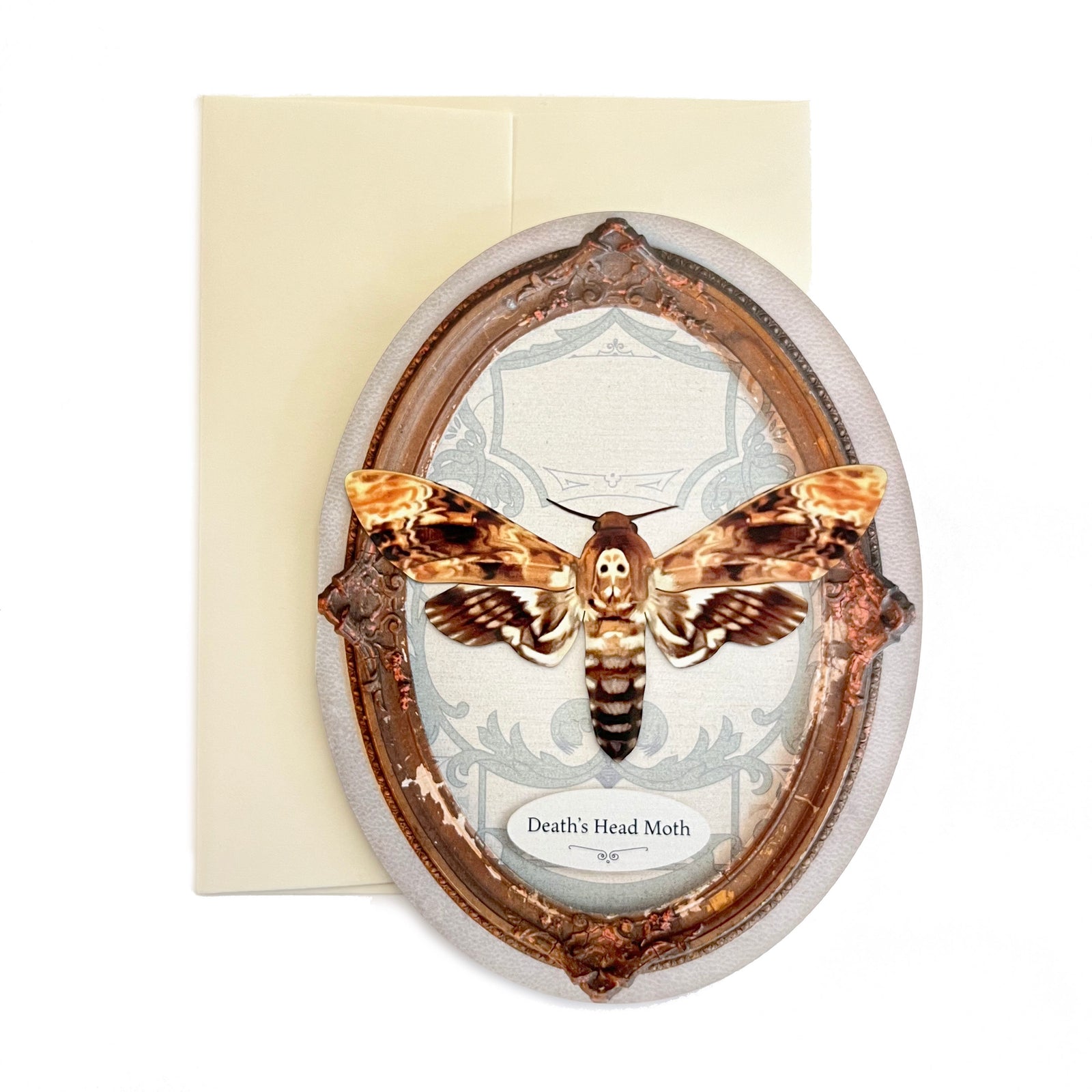 Death Head Moth Oval Greeting Card - Set of 4 - Reseller Wholesale