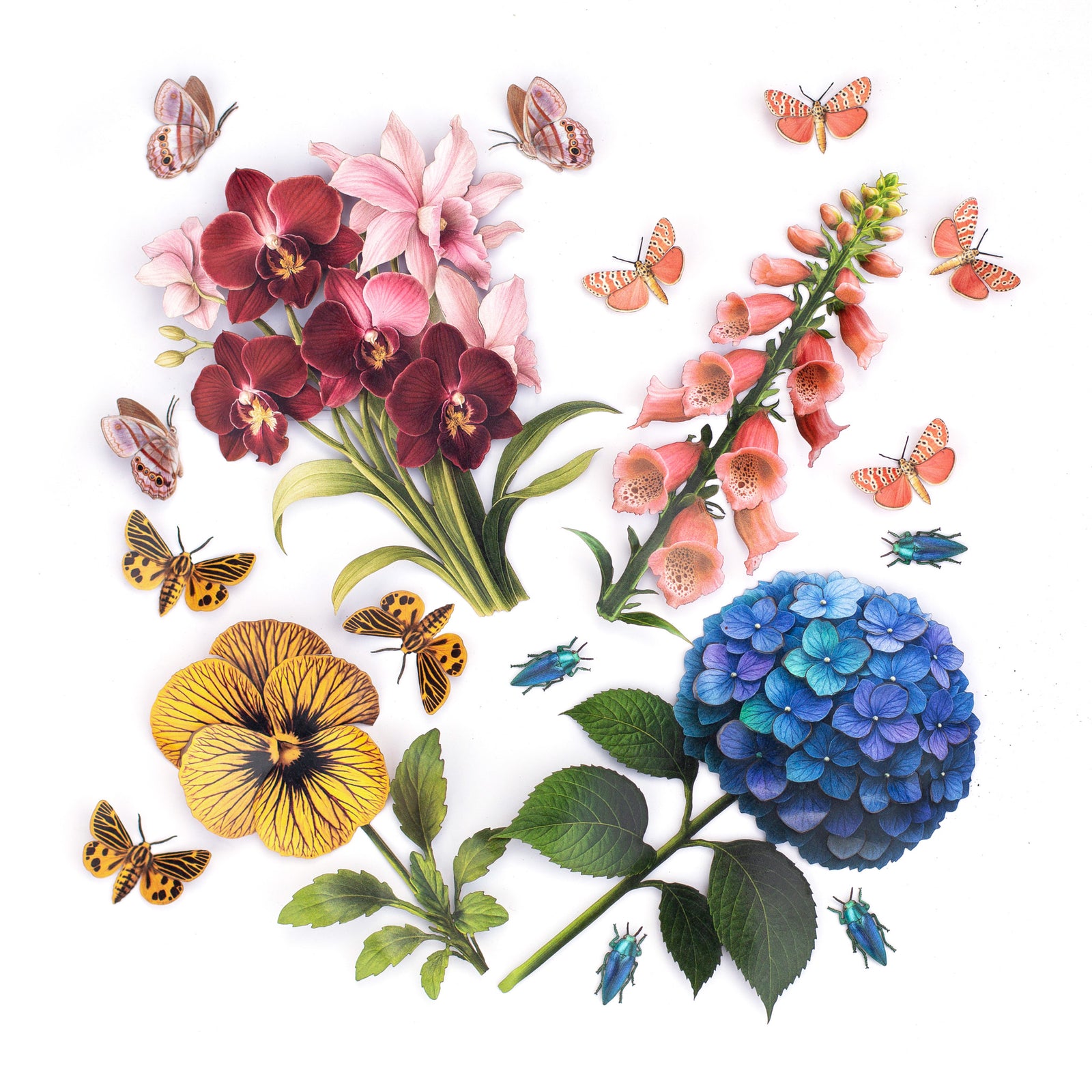 💫New💫 The Echo Collection - The Flutter and Flora Series