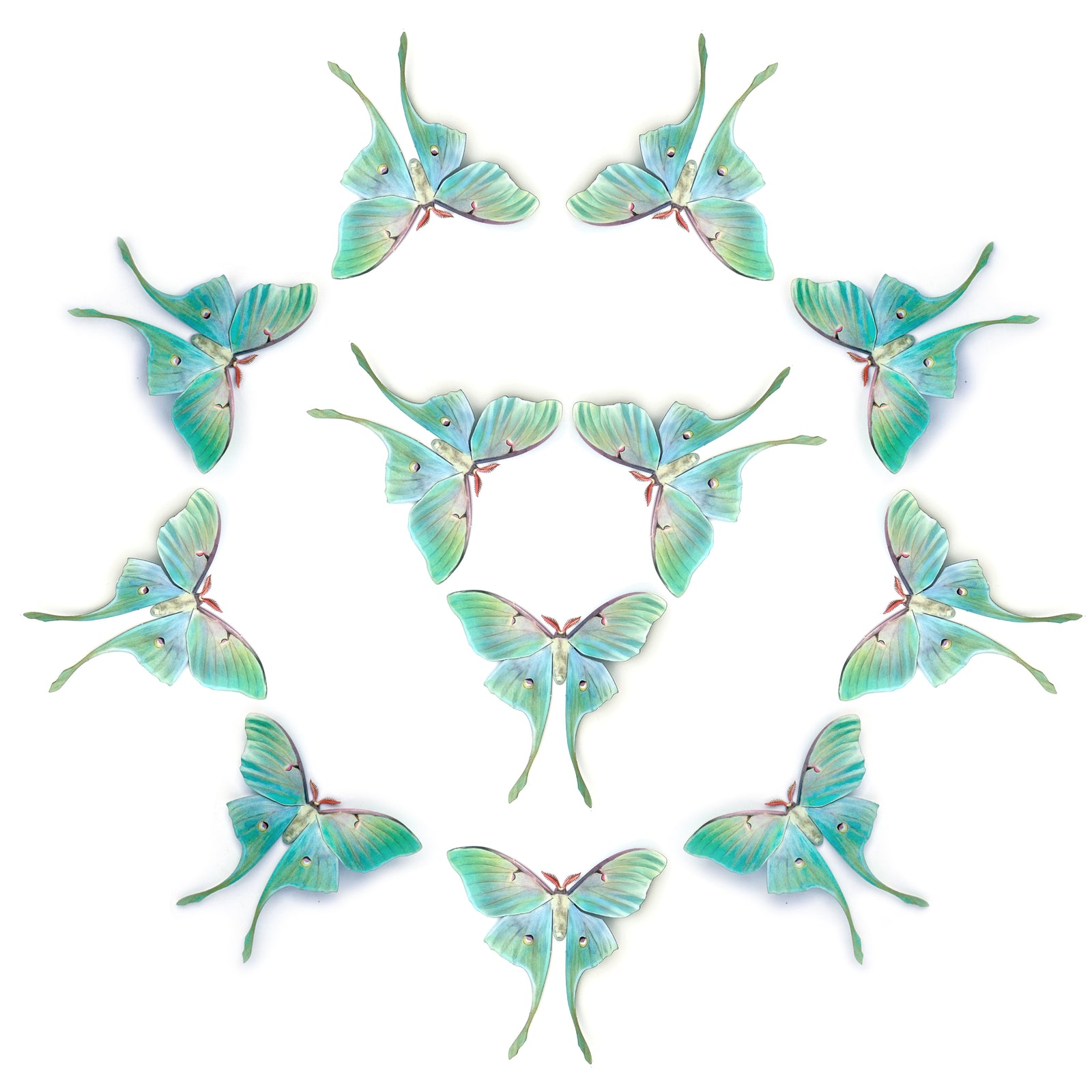 💫New!💫 'Faerie-Tails Luna' Moth Multi-Pack