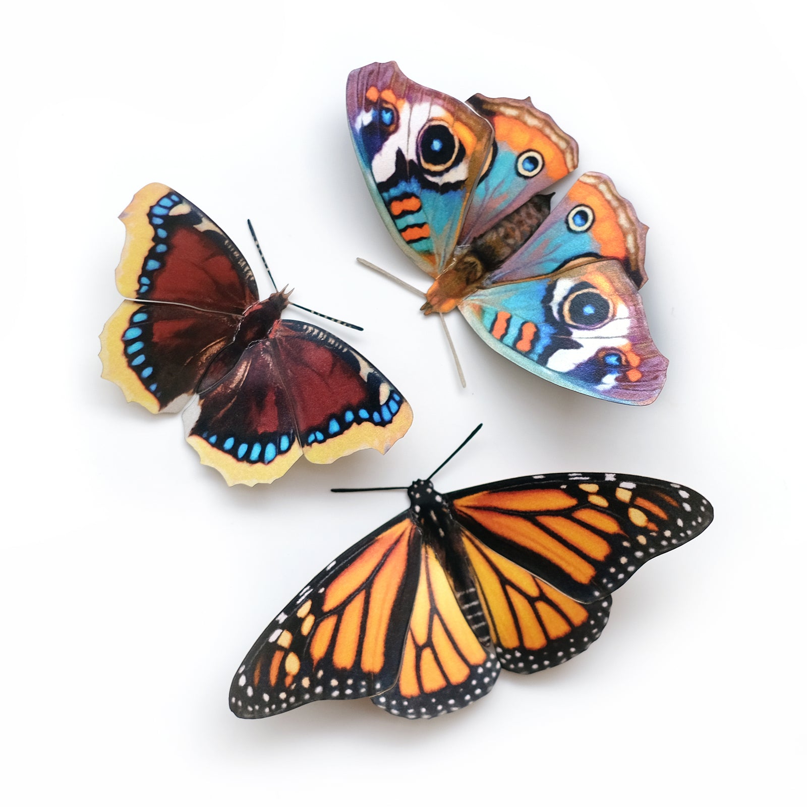 'Florida' Butterfly Set - Reseller Wholesale