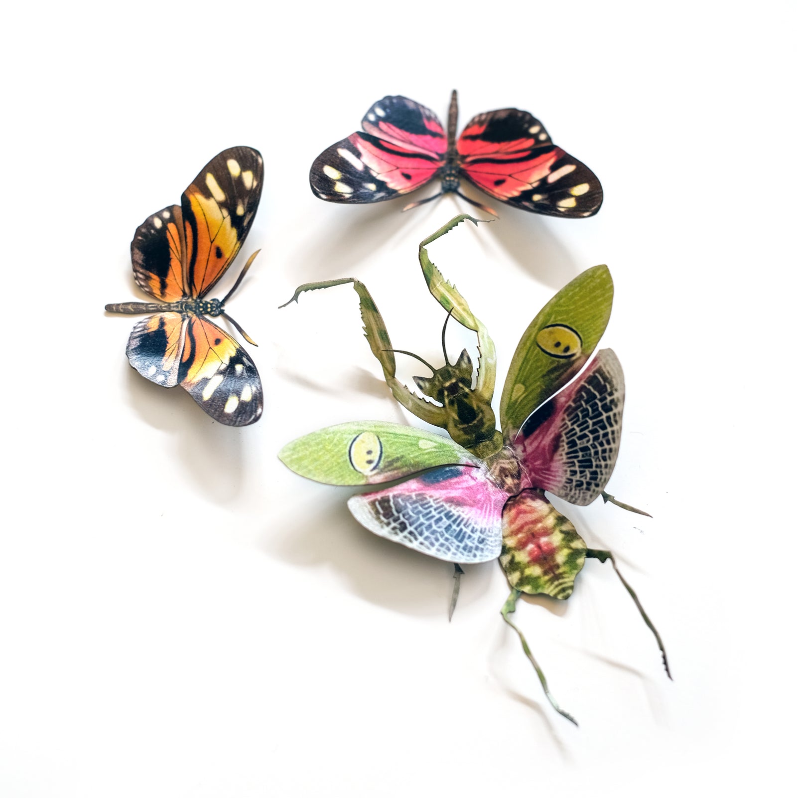 'Illusion' Psychedelic Flower Mantis Set