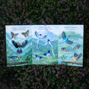 💫New💫 The Echo Collection - 'The Flutter & Flight Series'