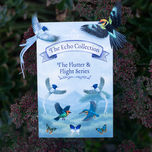 💫New💫 The Echo Collection - 'The Flutter & Flight Series'
