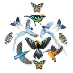 💫New💫 The Echo Collection - 'The Flutter & Flight Series'