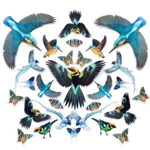 💫New💫 Fluffy Tit Butterfly & Asian Paradise Flycatcher - The Echo Collection - 'Flutter & Flight'