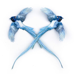 💫New💫 Asian Paradise Flycatcher 2 Piece Set - 'Feather & Flight'