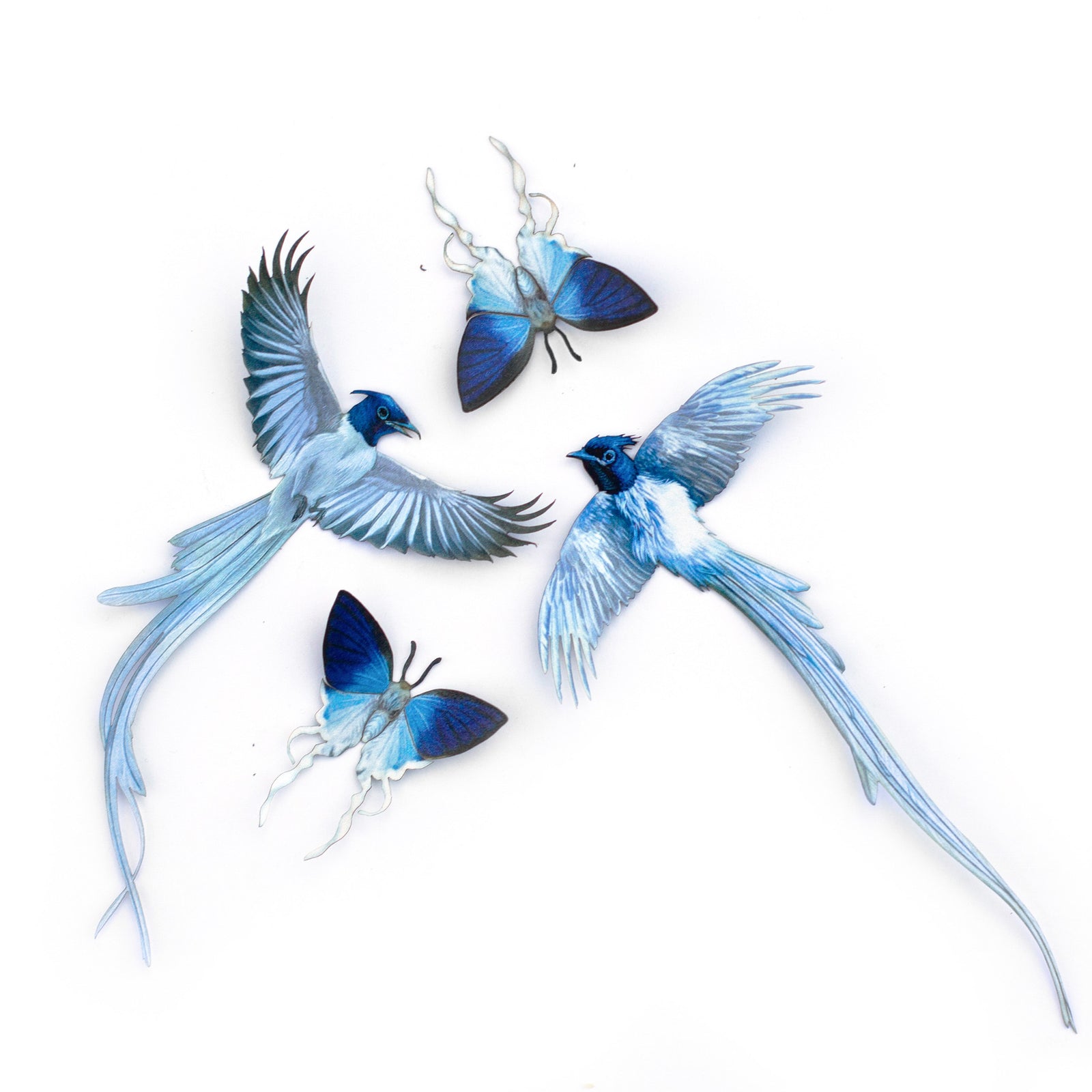 💫New💫 Fluffy Tit Butterfly & Asian Paradise Flycatcher - The Echo Collection - 'Flutter & Flight'