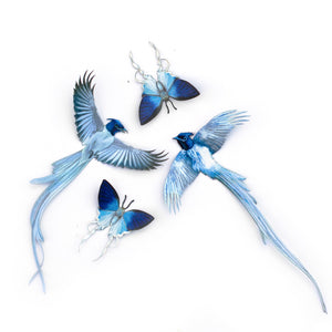 💫New💫 Fluffy Tit Butterfly & Asian Paradise Flycatcher - The Echo Collection - 'Flutter & Flight'