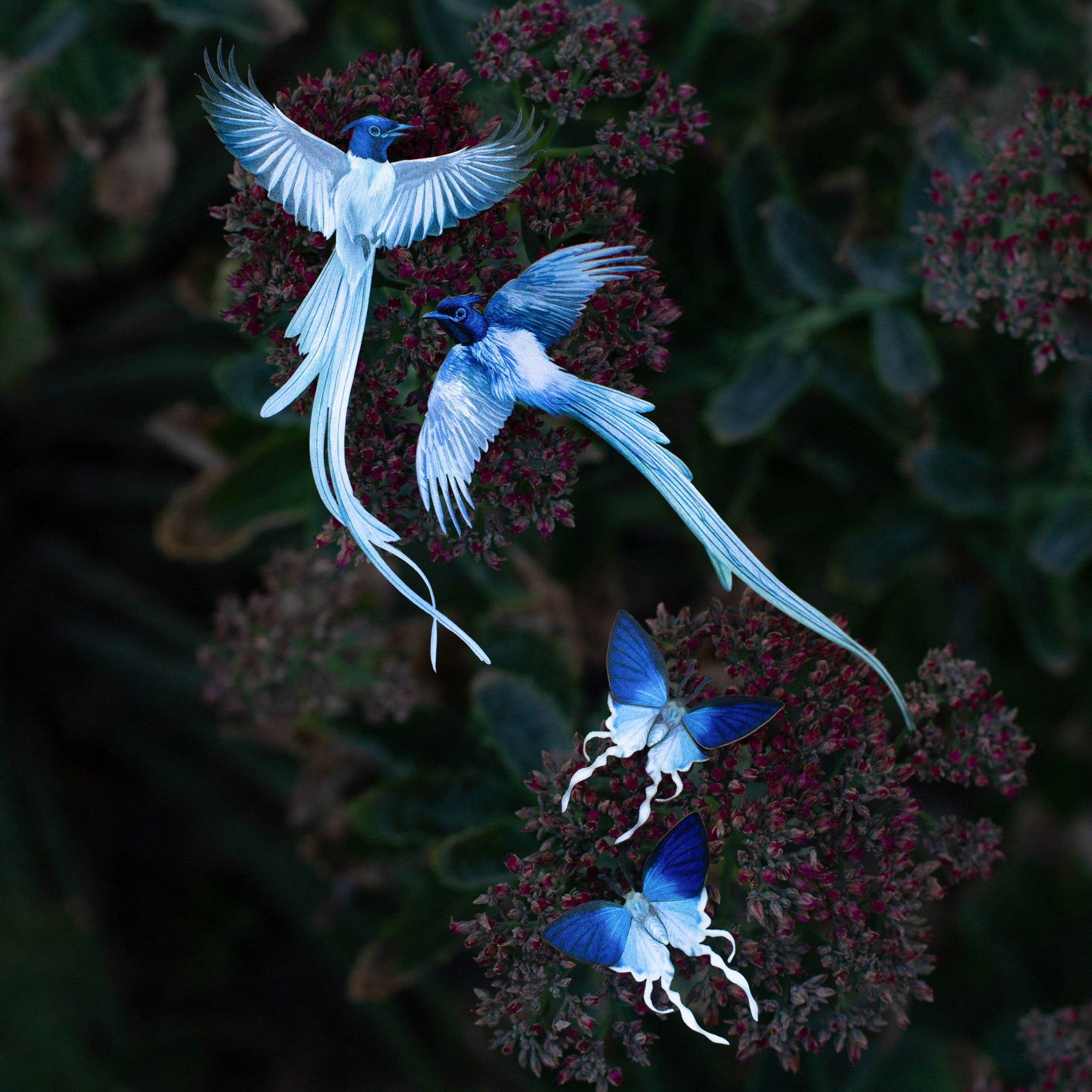 💫New💫 The Echo Collection - 'The Flutter & Flight Series'