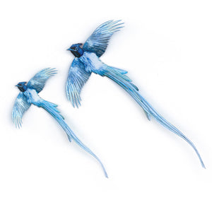 💫New💫 Asian Paradise Flycatcher 2 Piece Set - 'Feather & Flight'